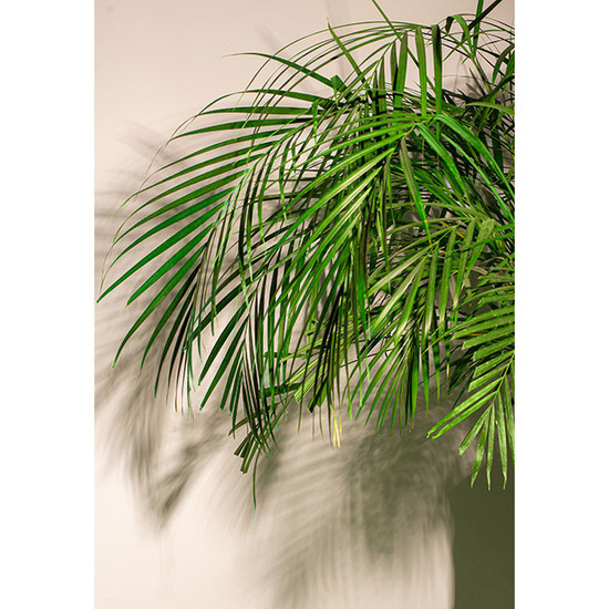 Kinkiet MFlask K DIM Chors